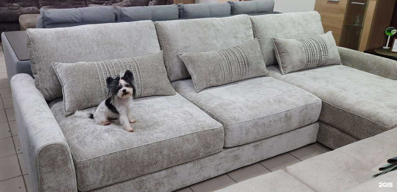 Отзывы на компанию Лежебока в г. Миасс c фото