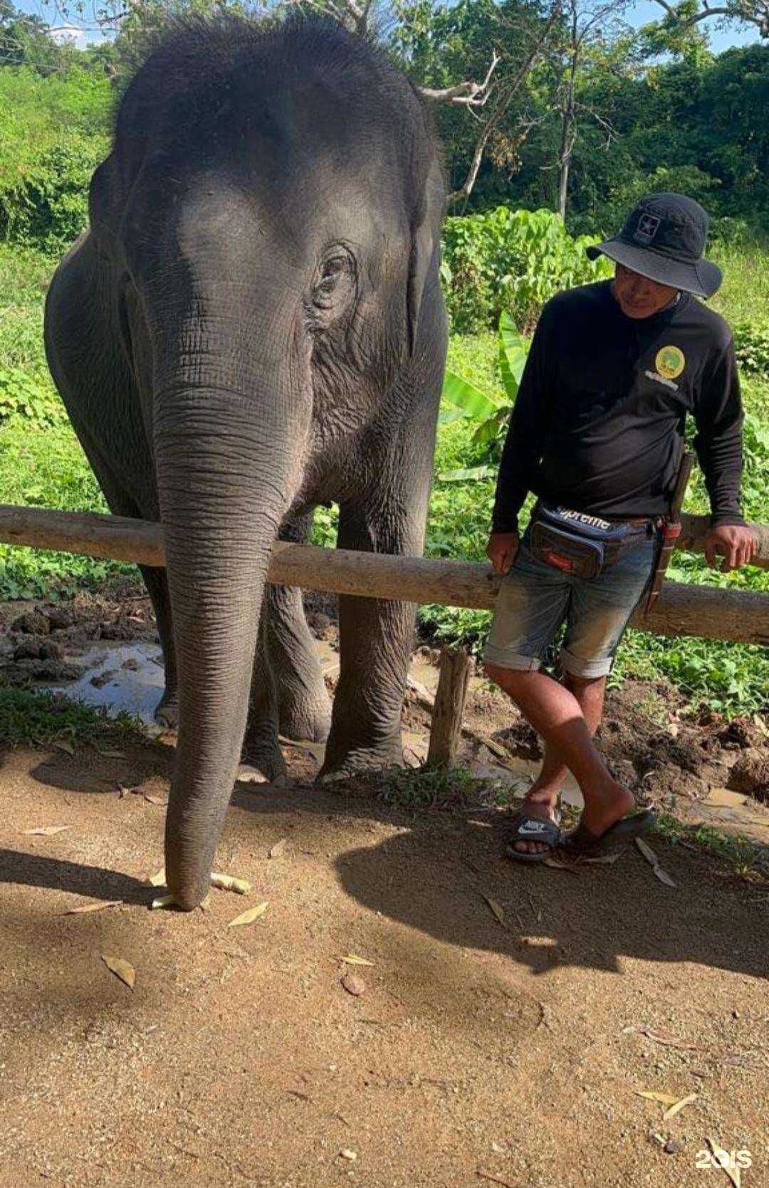 Отзывы на компанию Слетать.ру в г. Южно-Сахалинск c фото