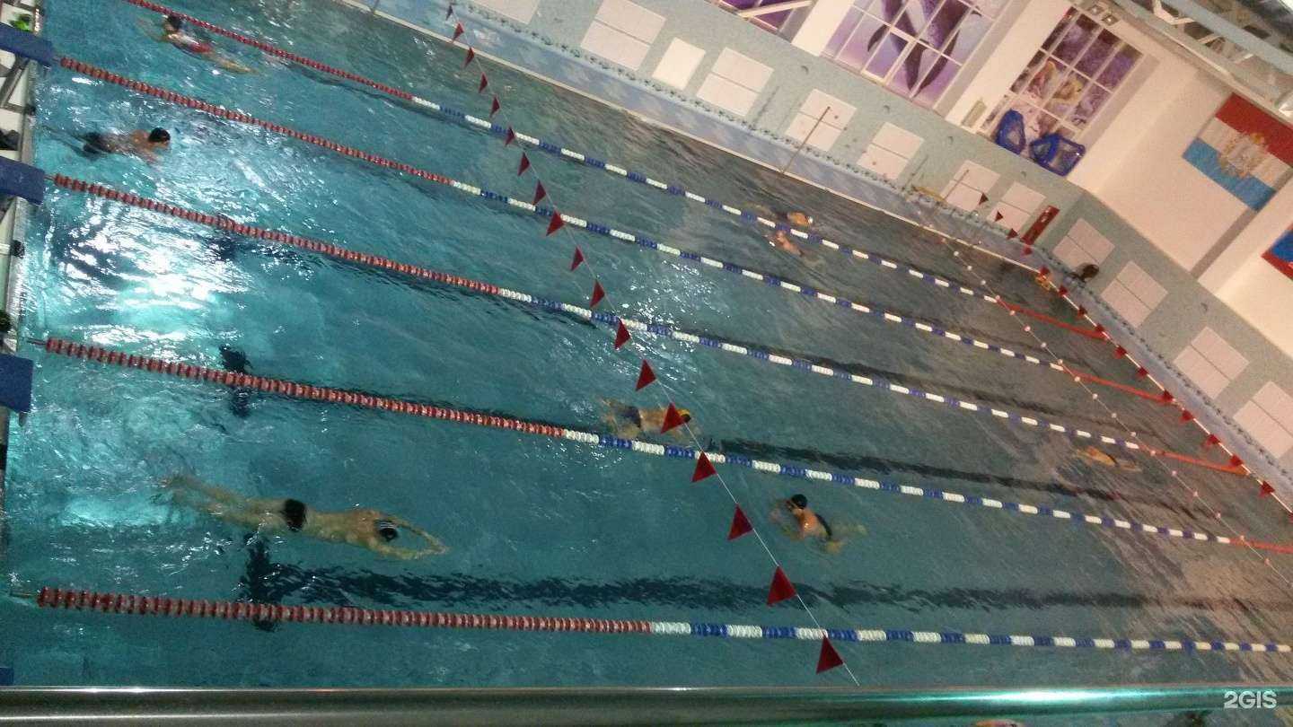 Отзывы на компанию Дельфин в г. Самара c фото