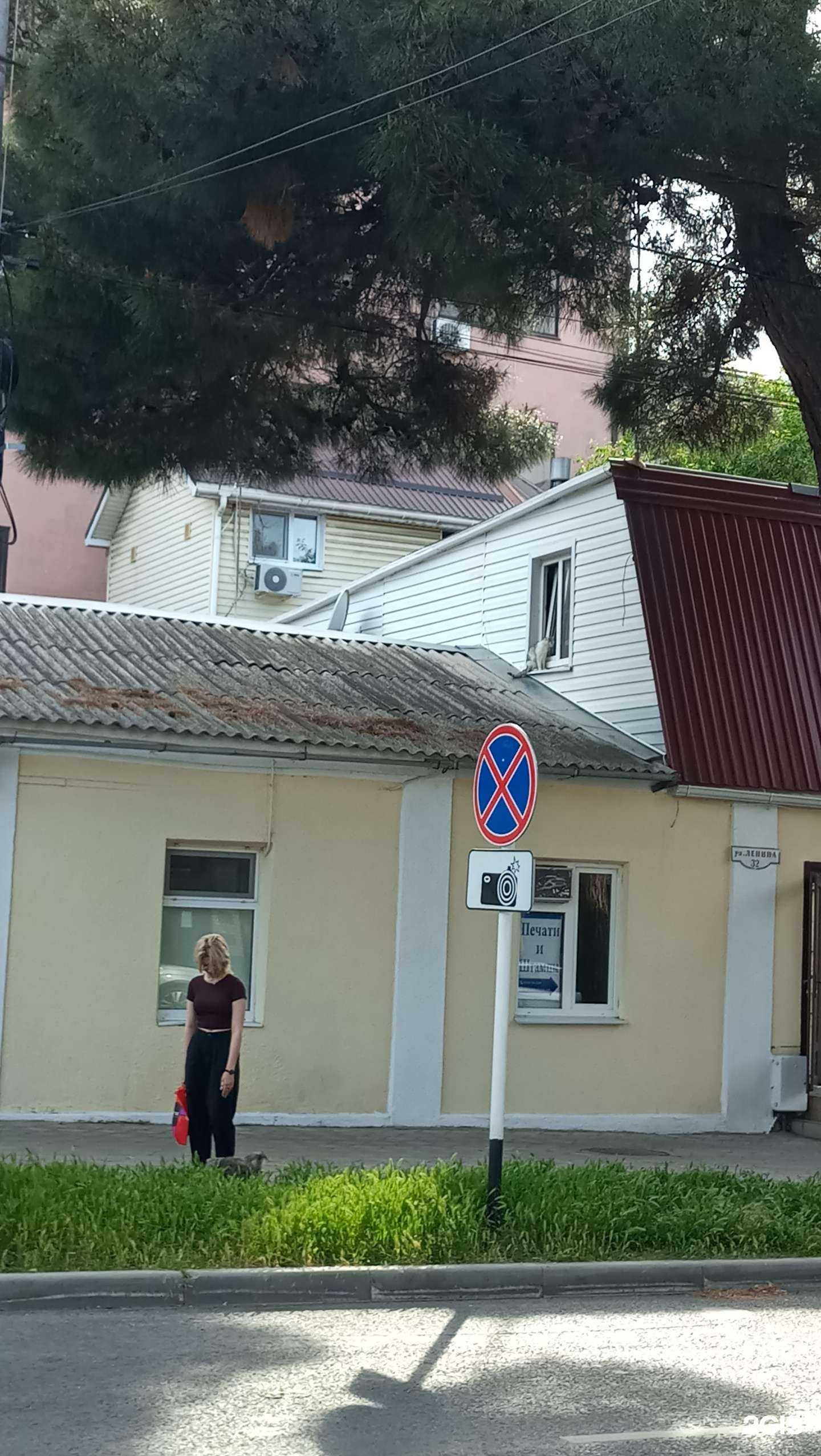 Отзывы на компанию Табак 123 в Анапе c фото - фотография 2 из 2