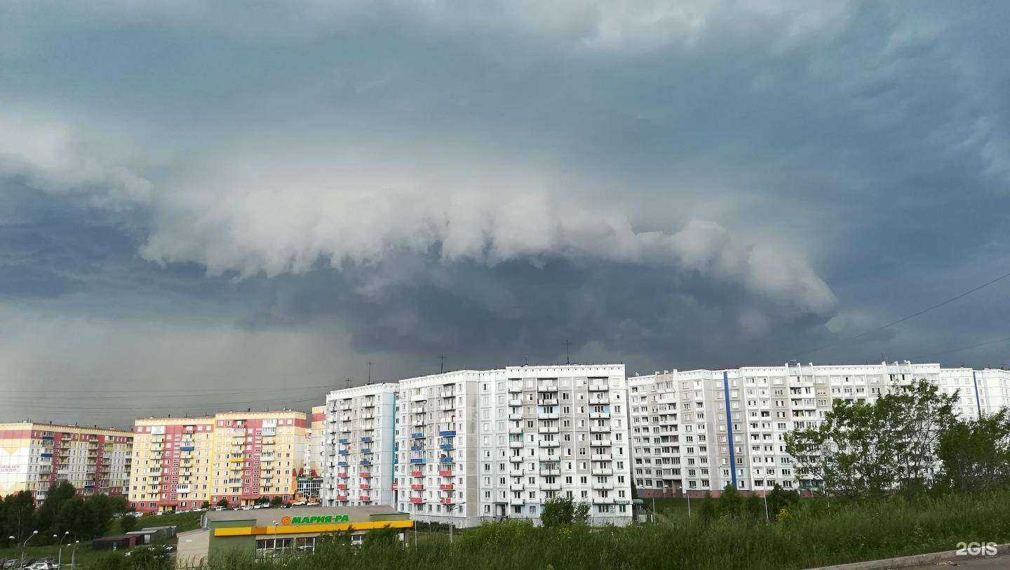 Отзывы на компанию Новокузнецкая городская станция по борьбе с болезнями животных в Новокузнецке c фото - фотография 2 из 2