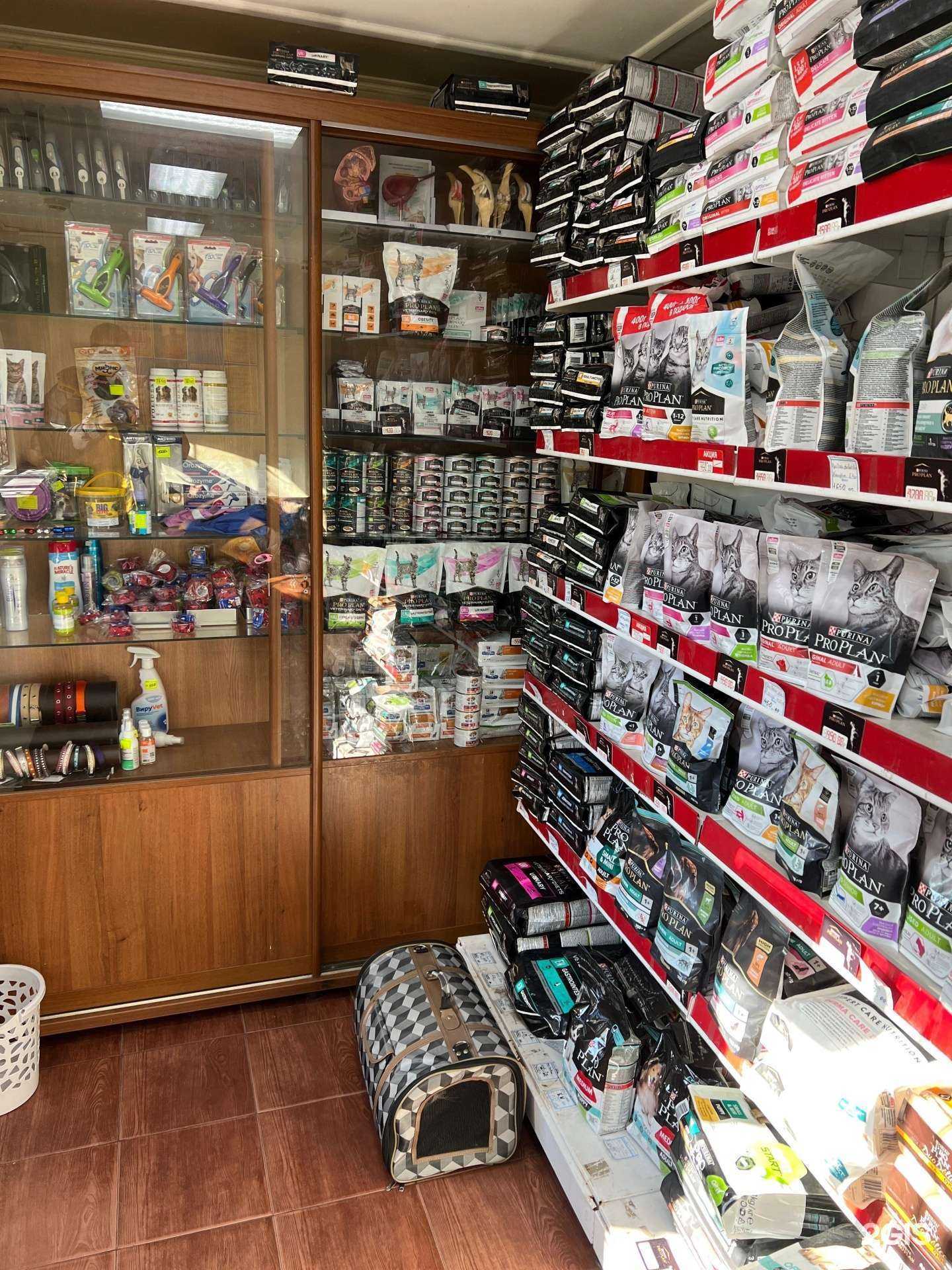 Отзывы на компанию Лион в Сочи c фото