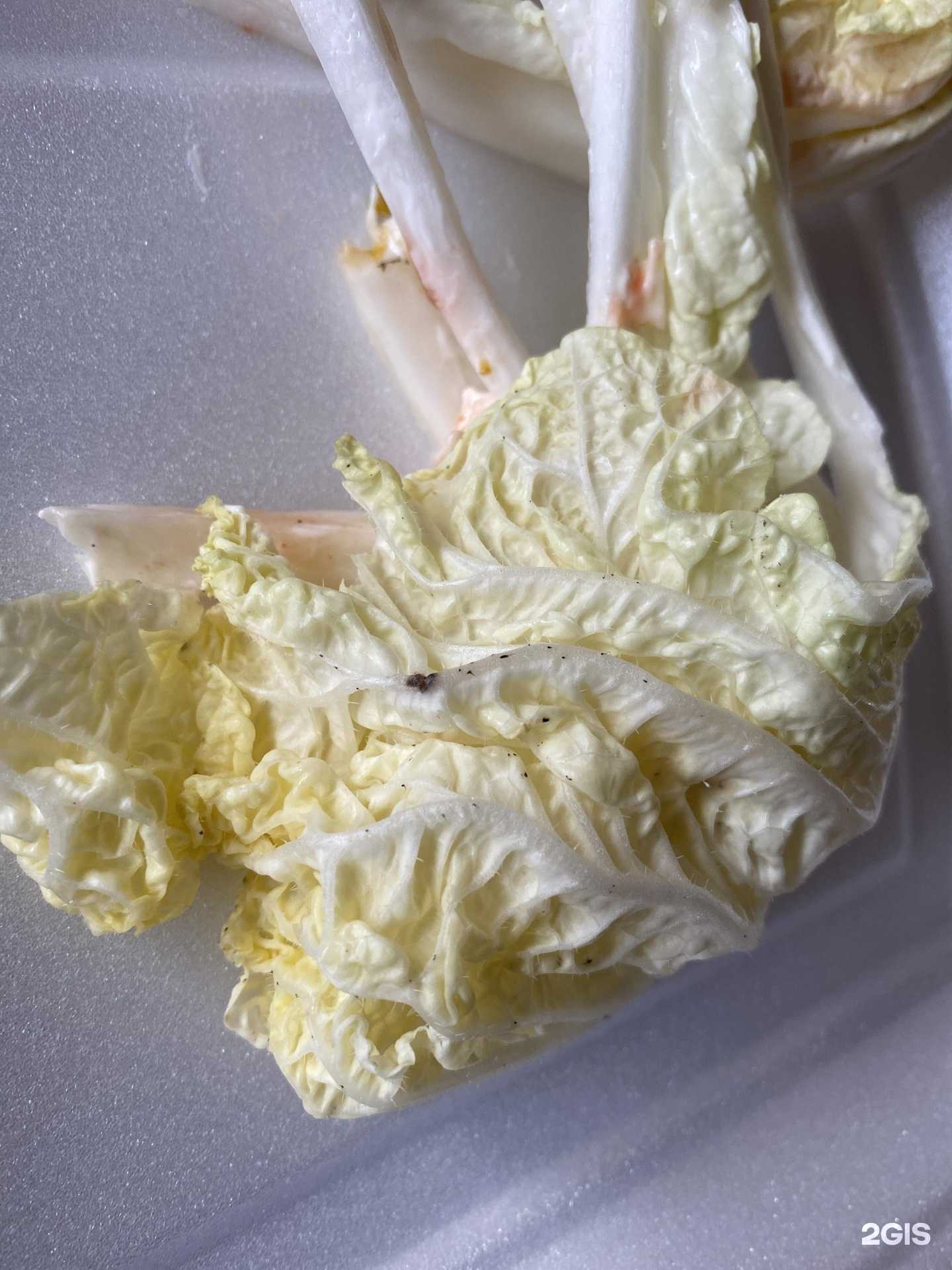 Отзывы на компанию Палитра вкуса в Рязани c фото