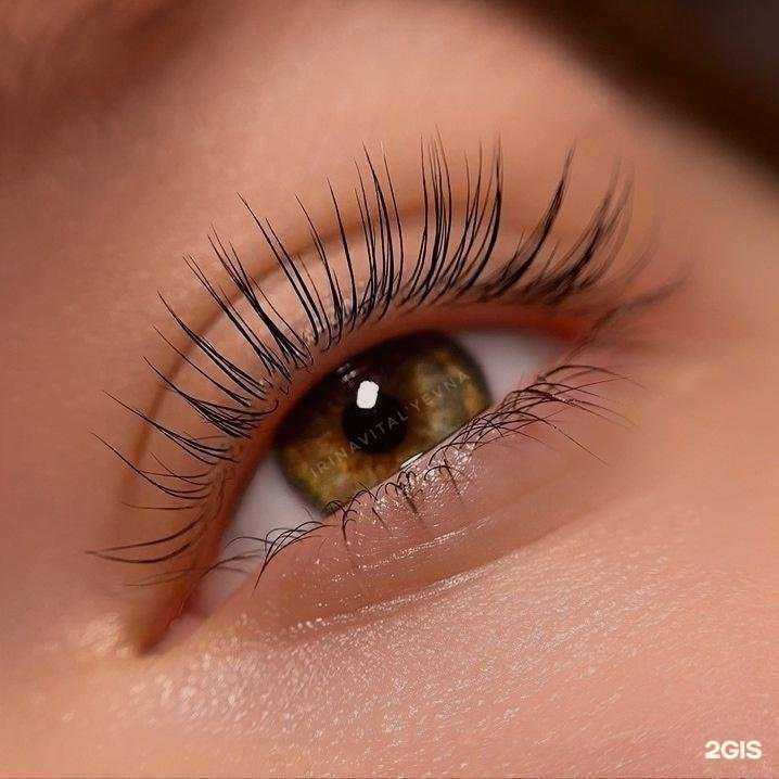 Отзывы на компанию The lash room в Новокузнецке c фото