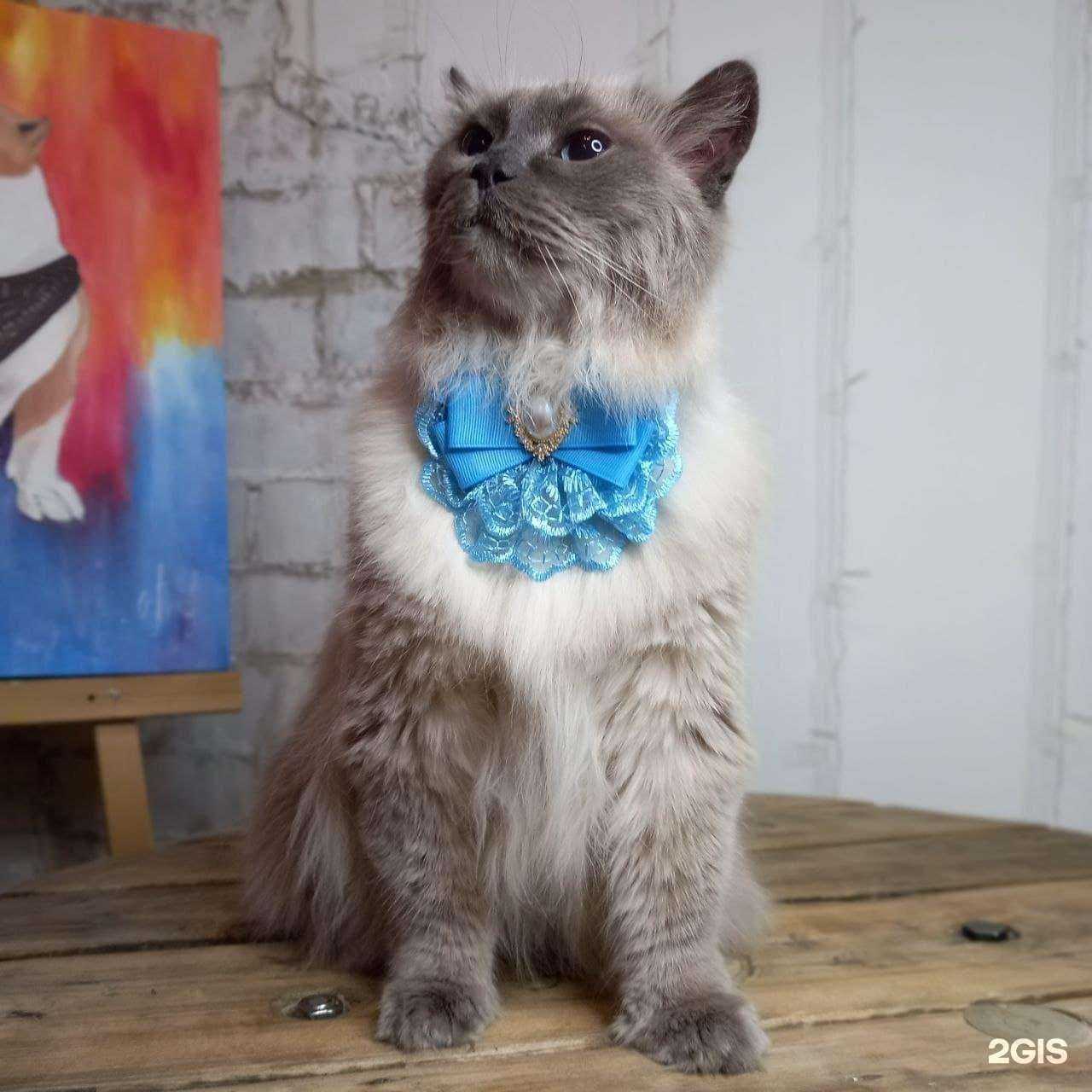 Отзывы на компанию Ёж в Тюмени c фото