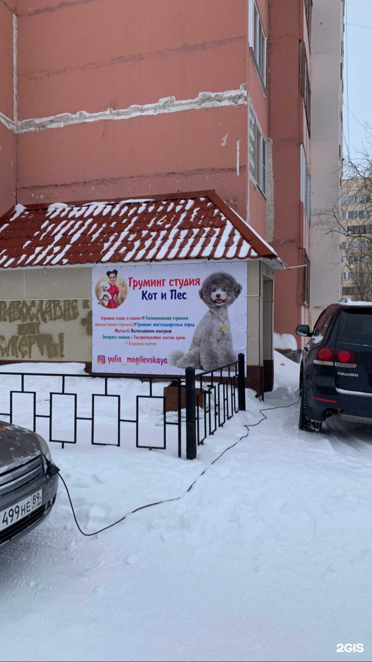 Отзывы на компанию Кот и Пёс в Новом Уренгое c фото