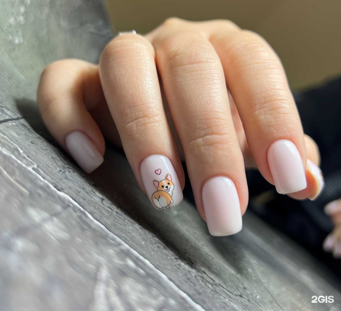 Отзывы на компанию Brauni  в Архангельске c фото