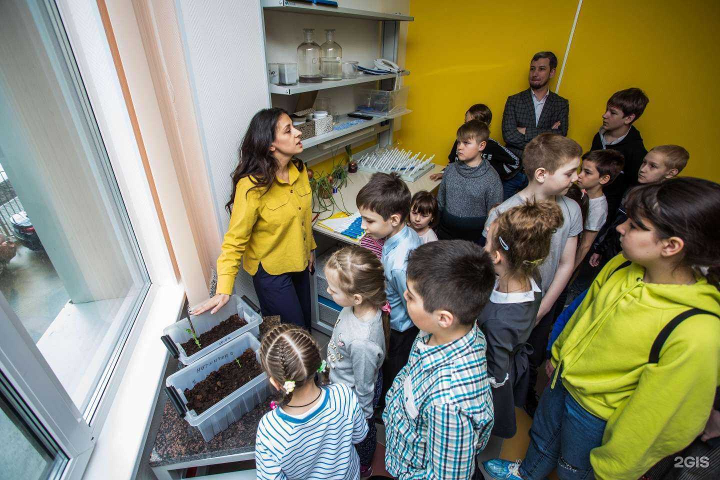 Отзывы на компанию Технополис в г. Сургут c фото