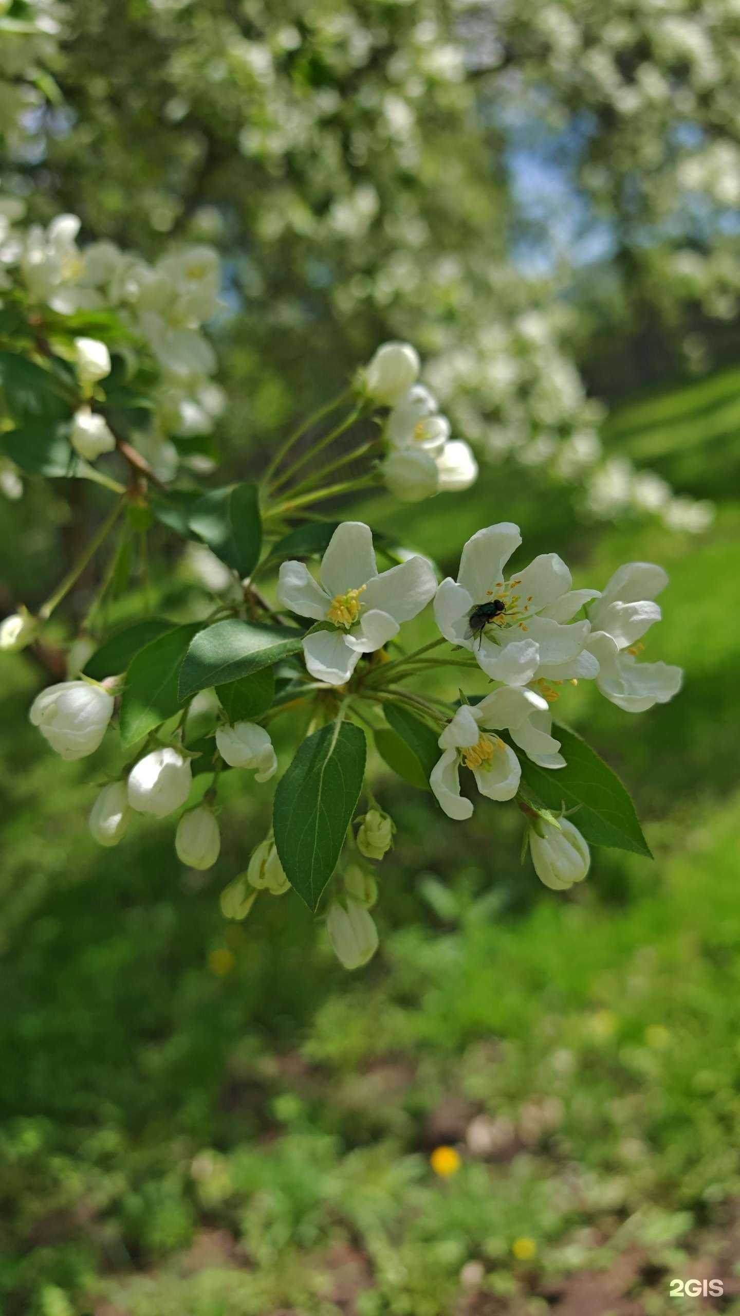 Отзывы на компанию Баланс в Новосибирске c фото