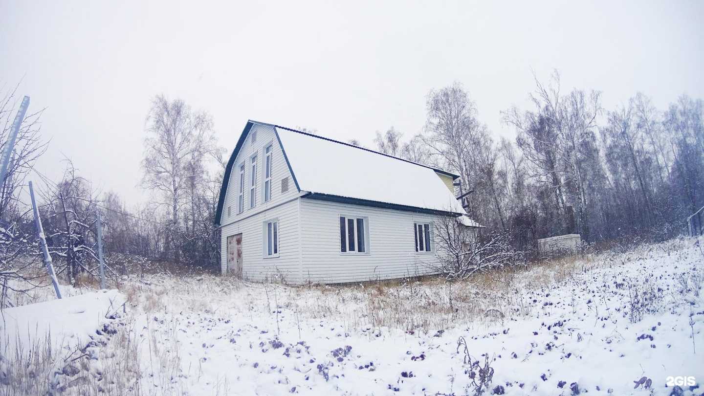 Отзывы на компанию Оптимист в г. Курган c фото