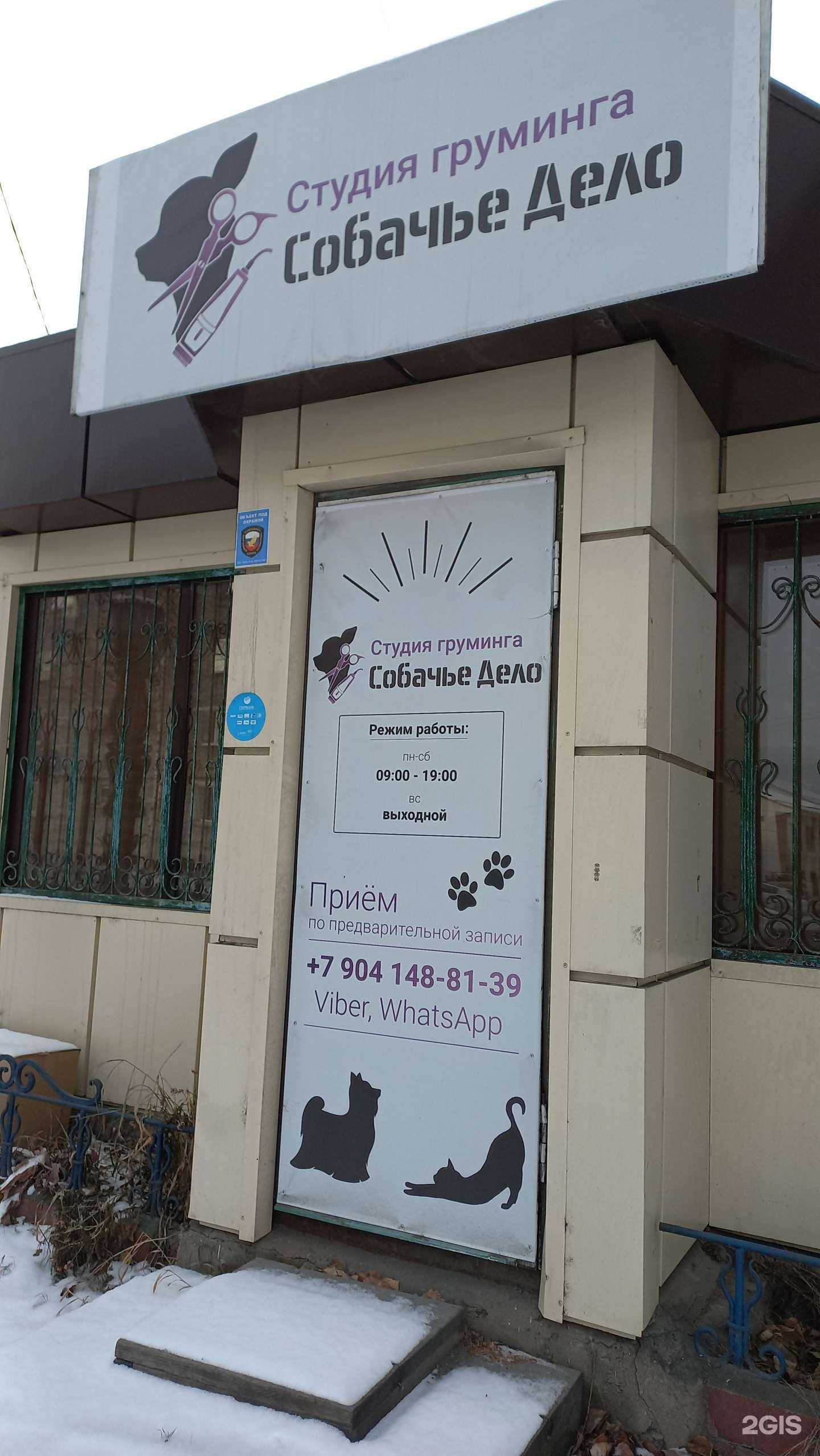 Отзывы на компанию Собачье дело в Слюдянке c фото