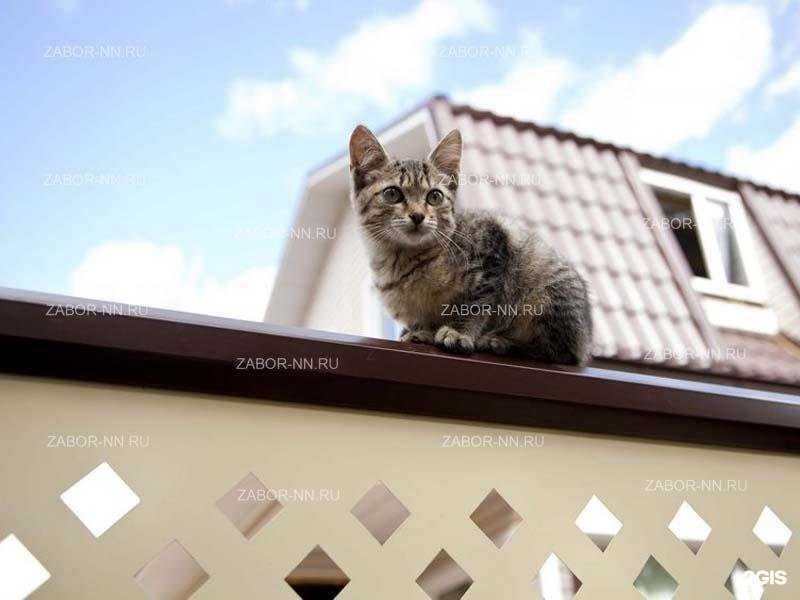 Отзывы на компанию Профзабор-НН в Дзержинске c фото