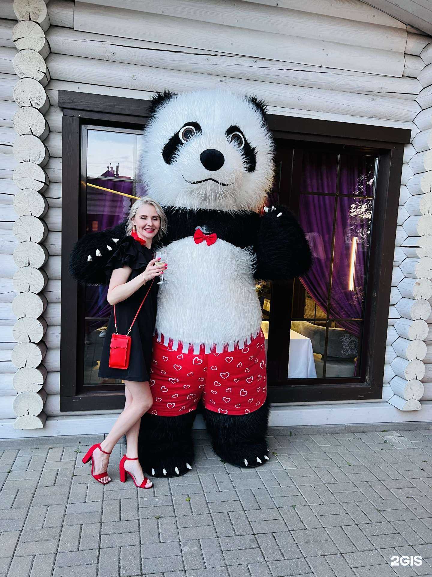 Отзывы на компанию Панда в красных труселях в г. Краснодар c фото