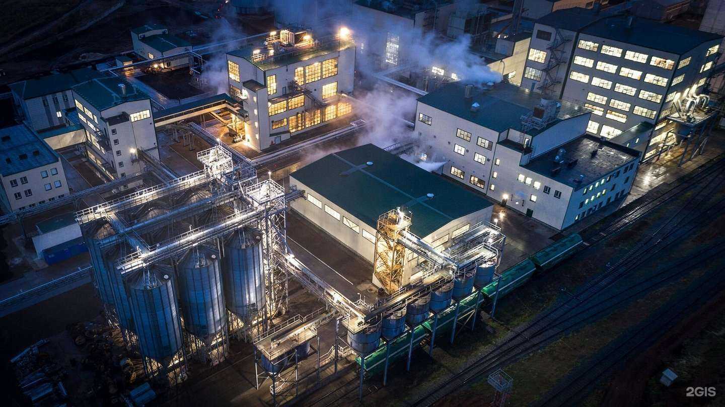 Отзывы на компанию Зоовыгода в г. Калининград c фото