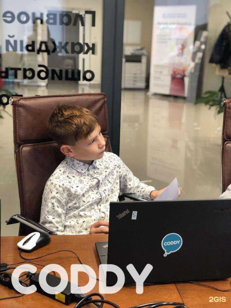 Отзывы на компанию CODDY в г. Краснодар c фото