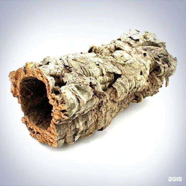 Отзывы на компанию ЗооМур в г. Мурманск c фото