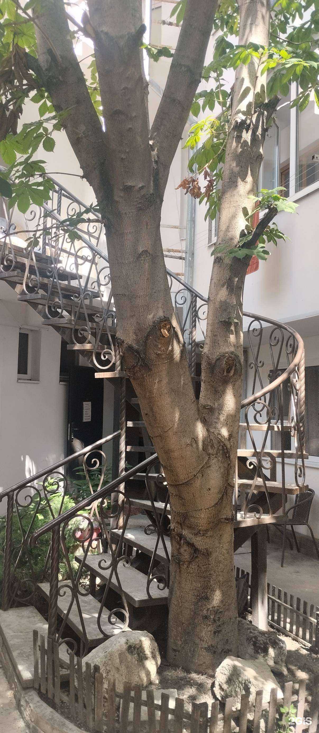 Отзывы на компанию Гостевой дом в г. Анапа c фото