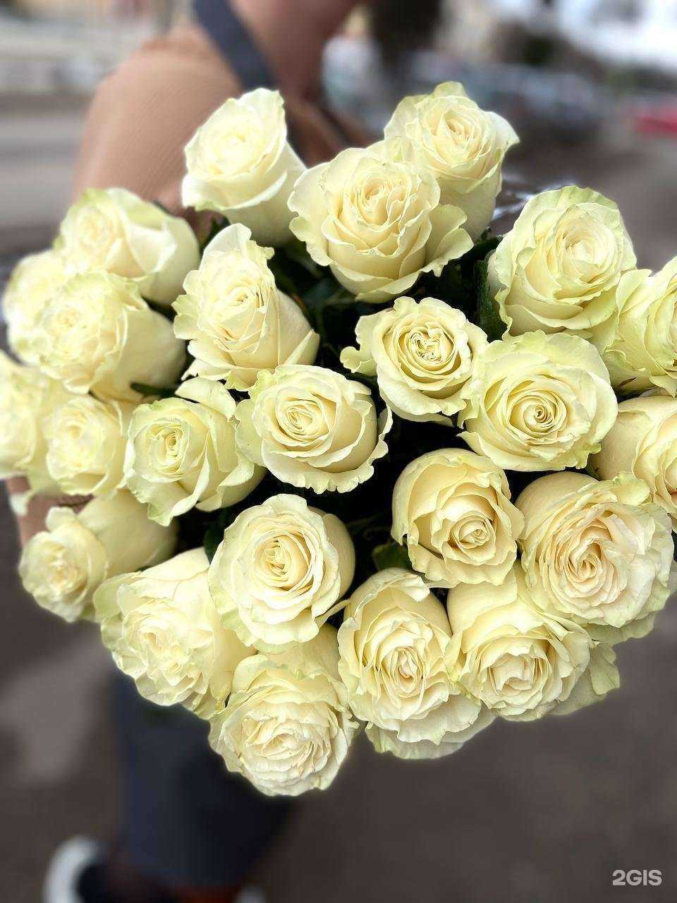 Отзывы на компанию Прованс в Йошкар-Оле c фото