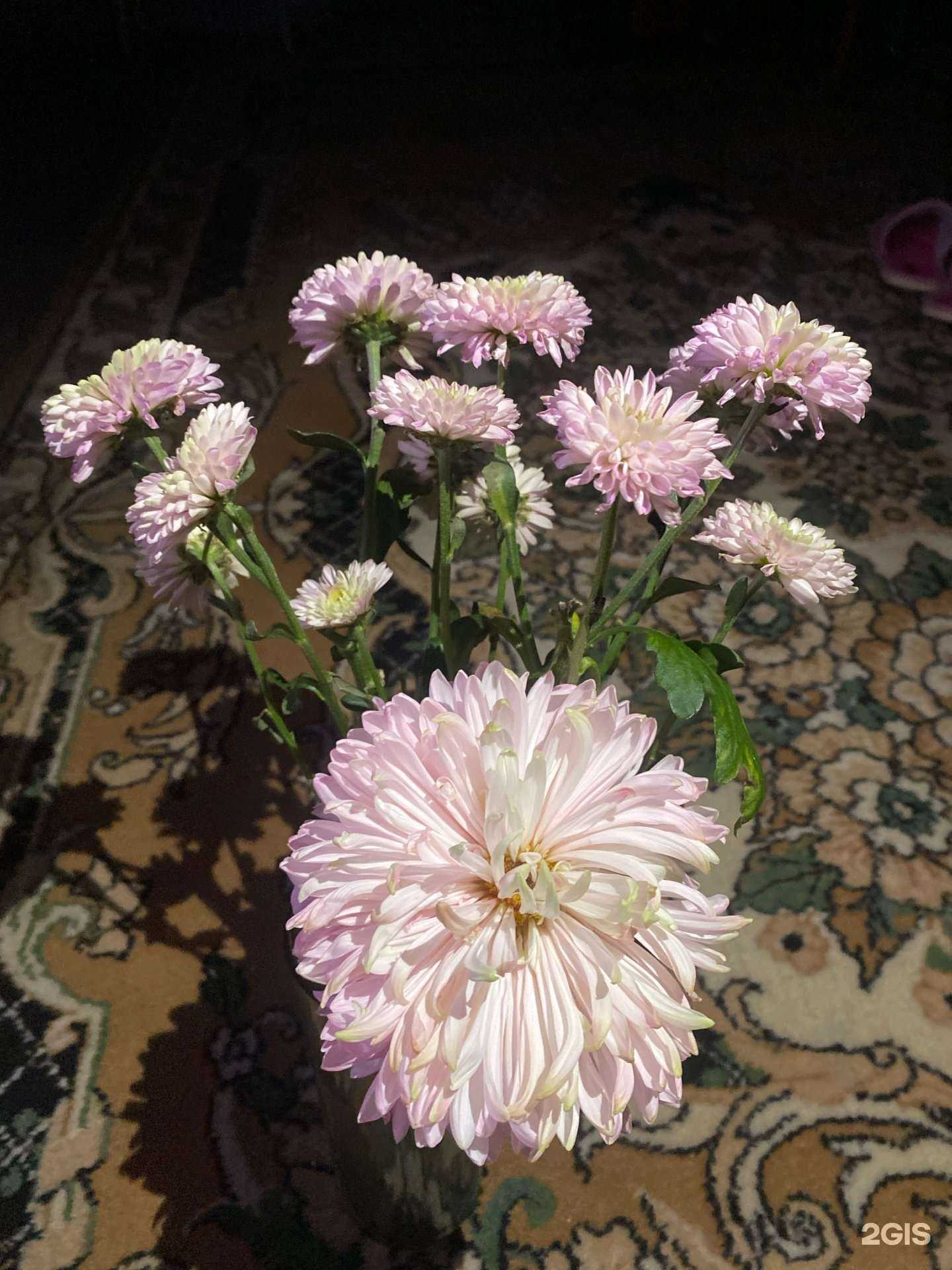 Отзывы на компанию Sakura в Туймазах c фото