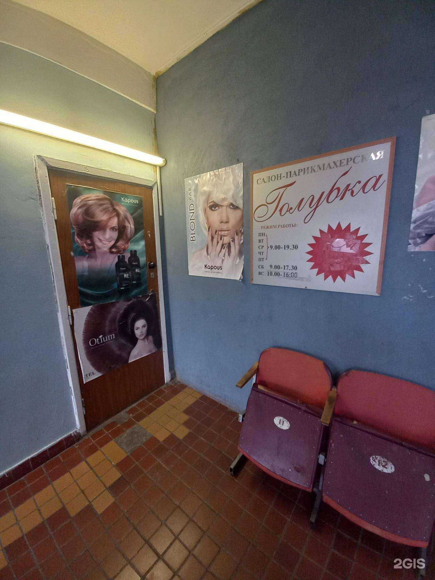 Отзывы на компанию Голубка в Тольятти c фото