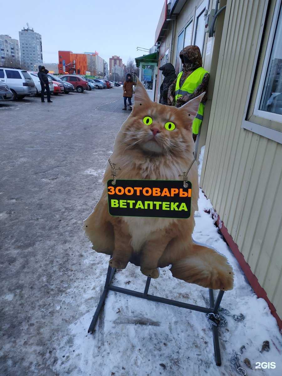 Отзывы на компанию Ветеринарная аптека в г. Омск c фото