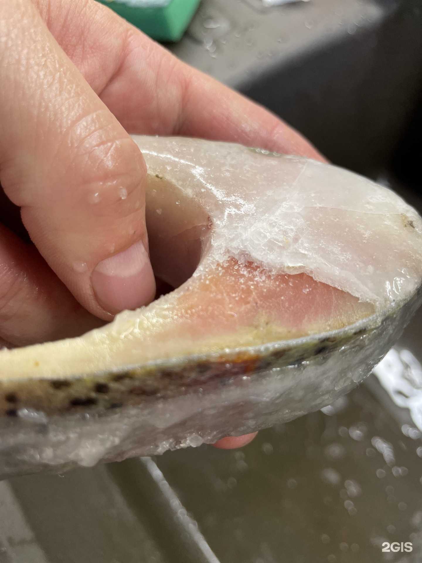 Отзывы на компанию Рыбный мир 55 в г. Омск c фото