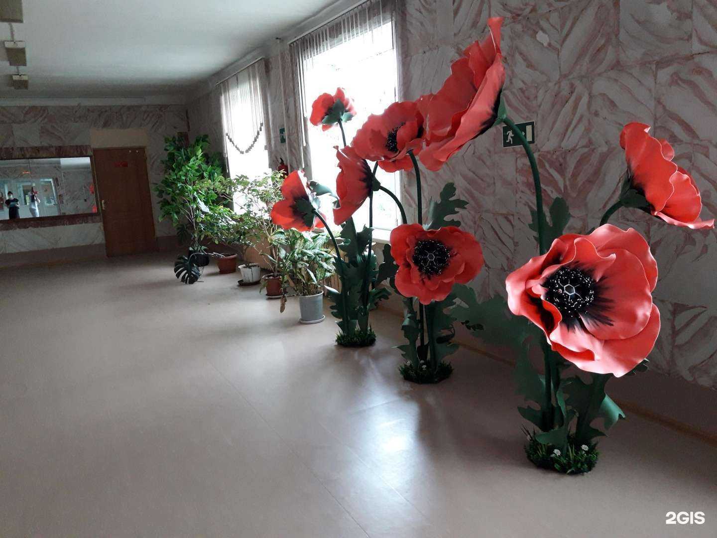 Отзывы на компанию Средняя школа №62 в г. Владивосток c фото