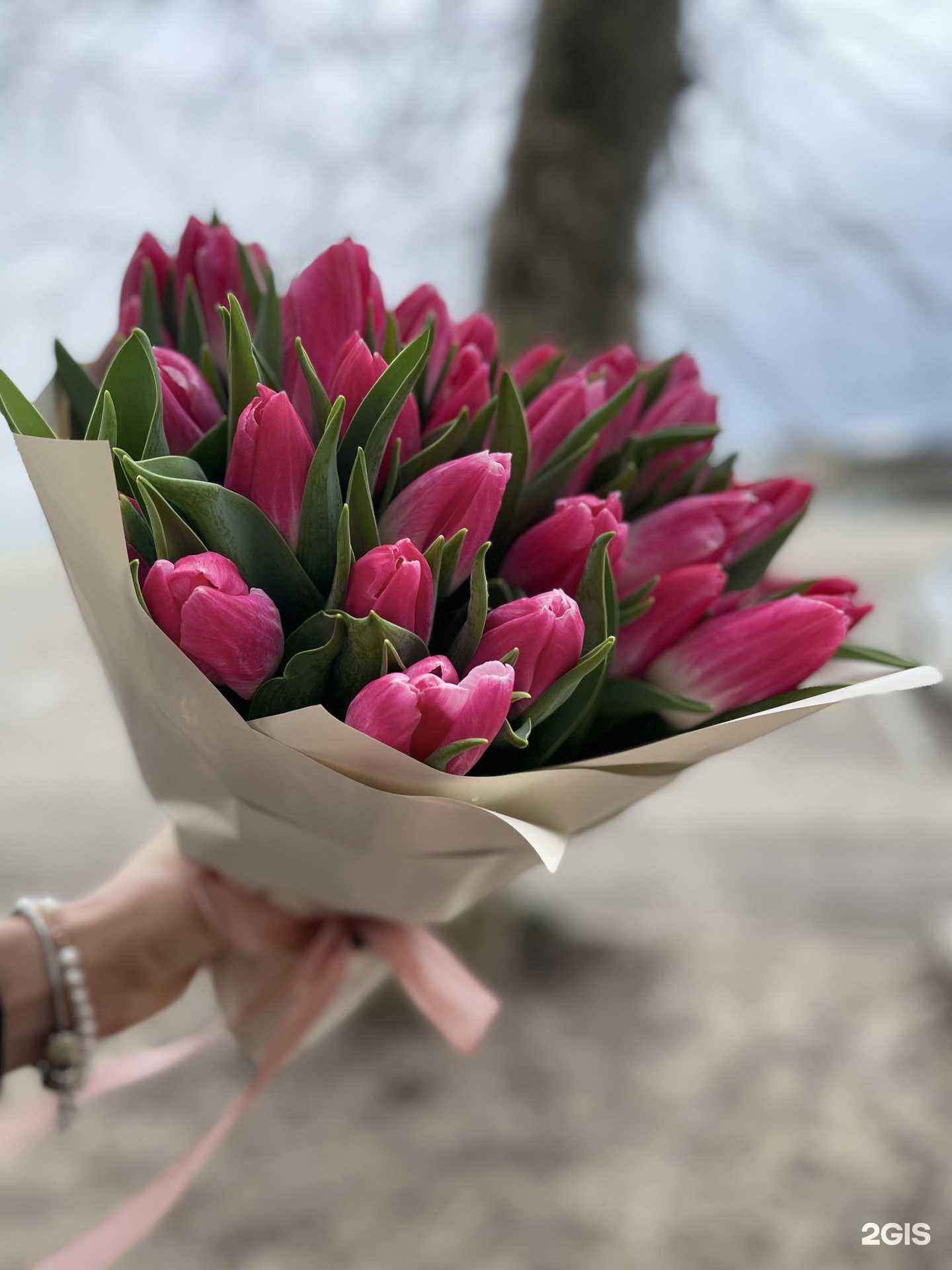 Отзывы на компанию Кенгуру в Сочи c фото