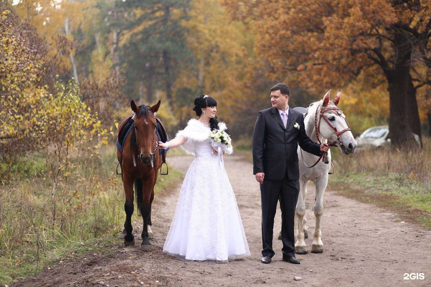 Отзывы на компанию Фаэтон в Саратове c фото