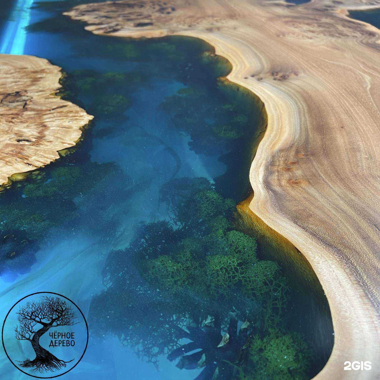 Отзывы на компанию Черное дерево в Воронеже c фото