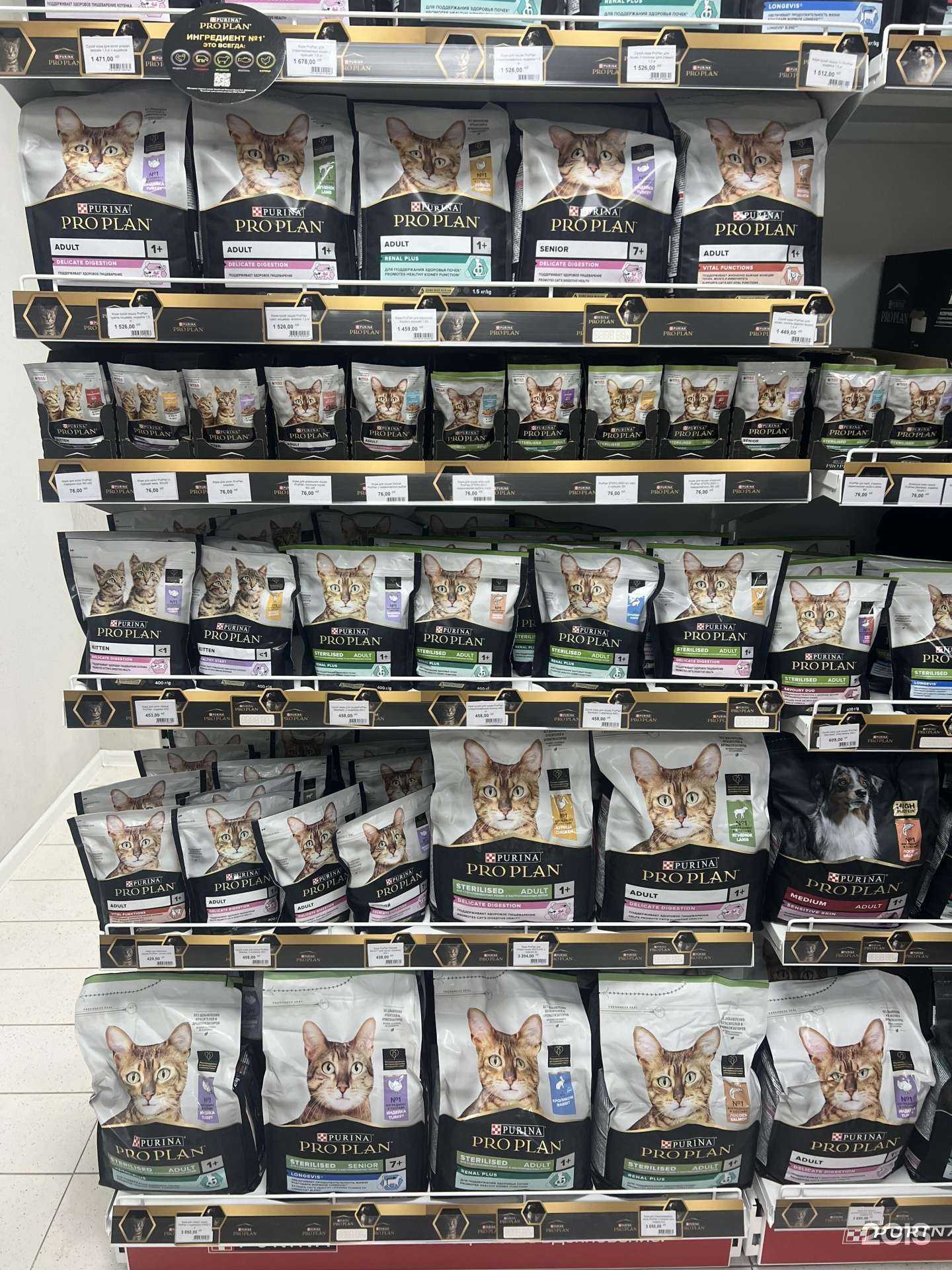 Отзывы на компанию ЗооФан в Челябинске c фото