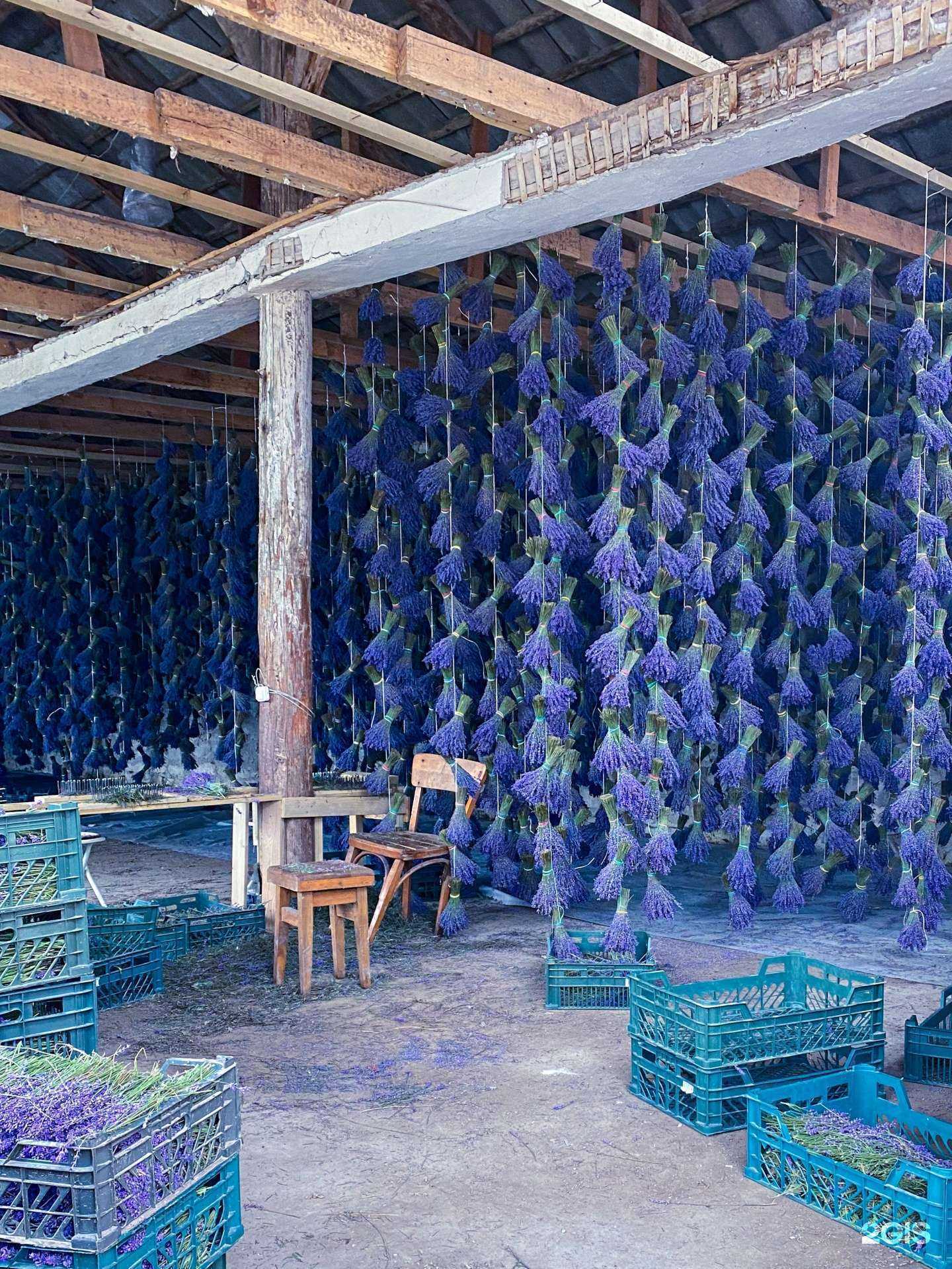 Отзывы на компанию Лавандовый стол в Ростове-на-Дону c фото