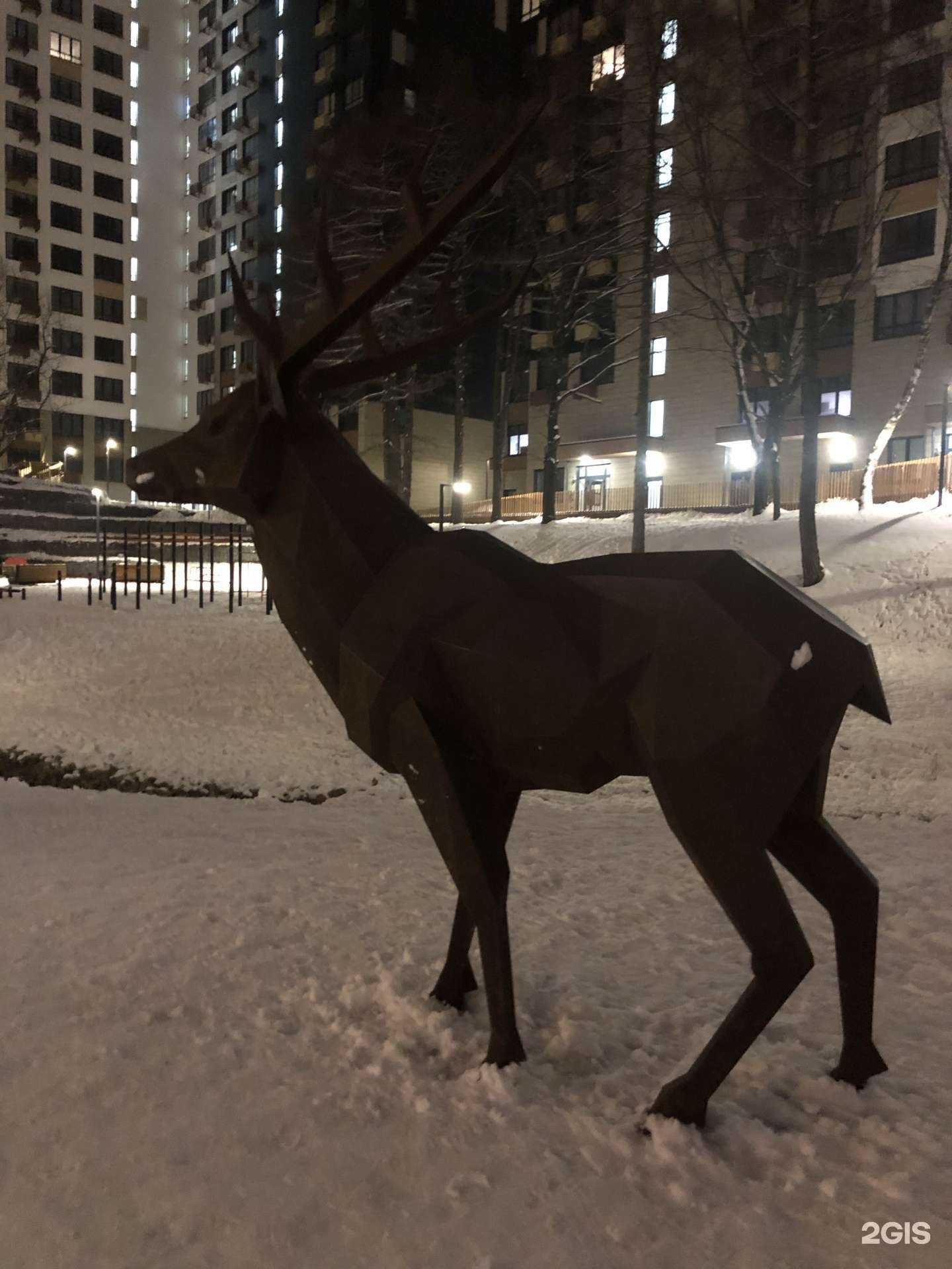 Отзывы на компанию Yogi Room в Коммунарке c фото - фотография 2 из 2