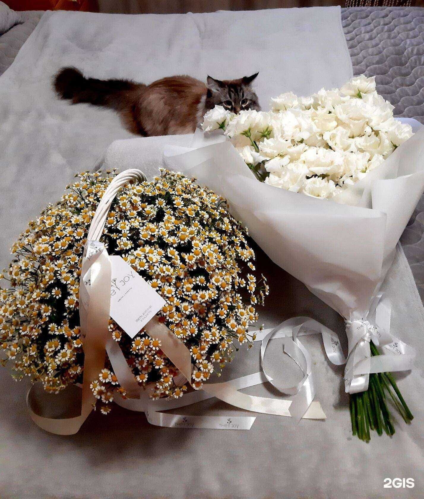 Отзывы на компанию The joy в г. Саратов c фото