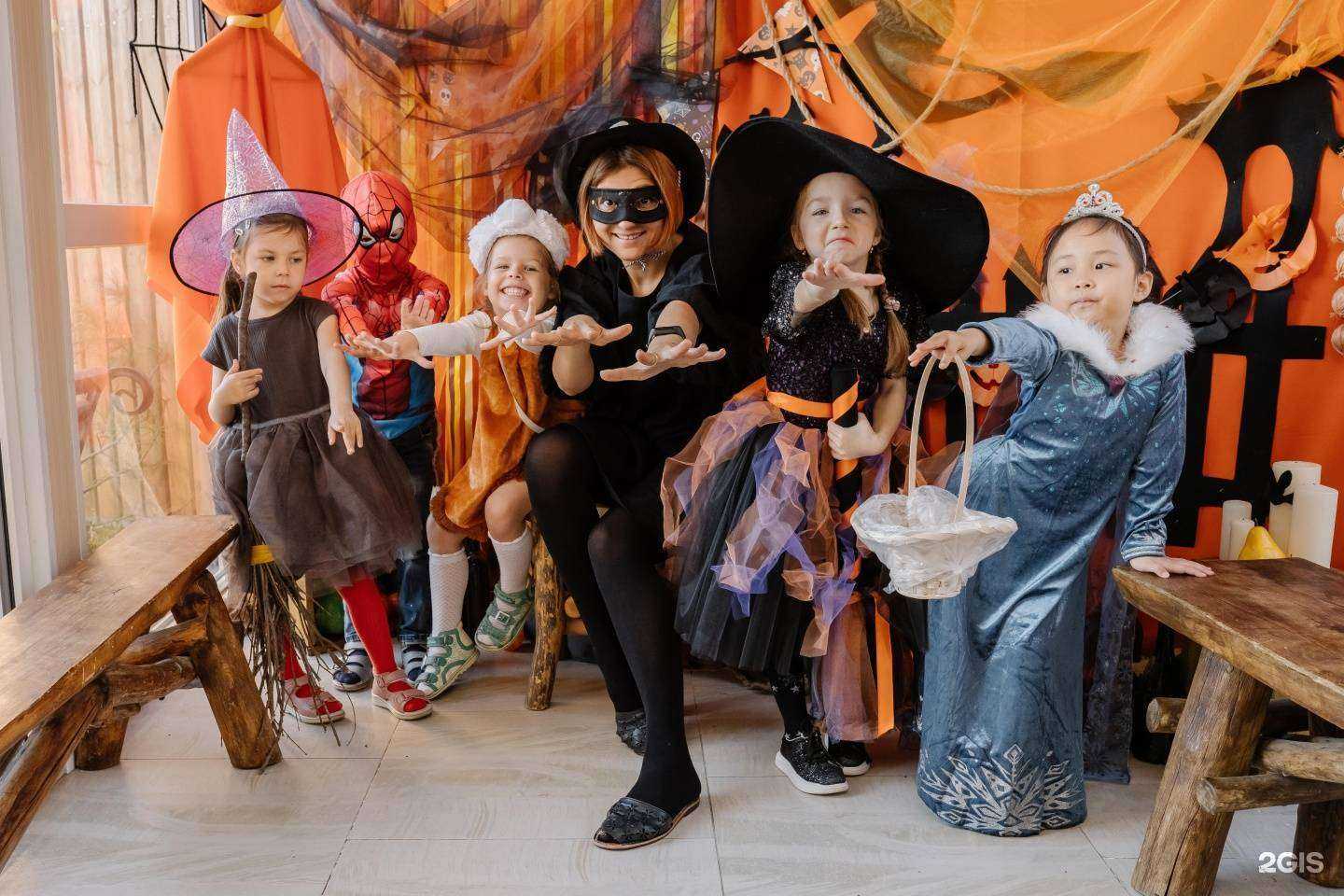 Отзывы на компанию Планета друзей в г. Владивосток c фото