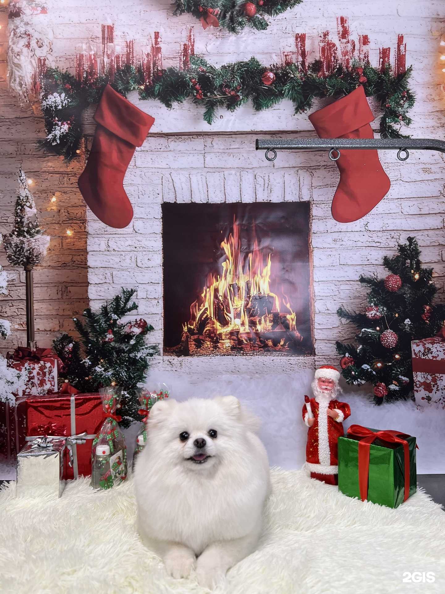 Отзывы на компанию Тотем в Уфе c фото