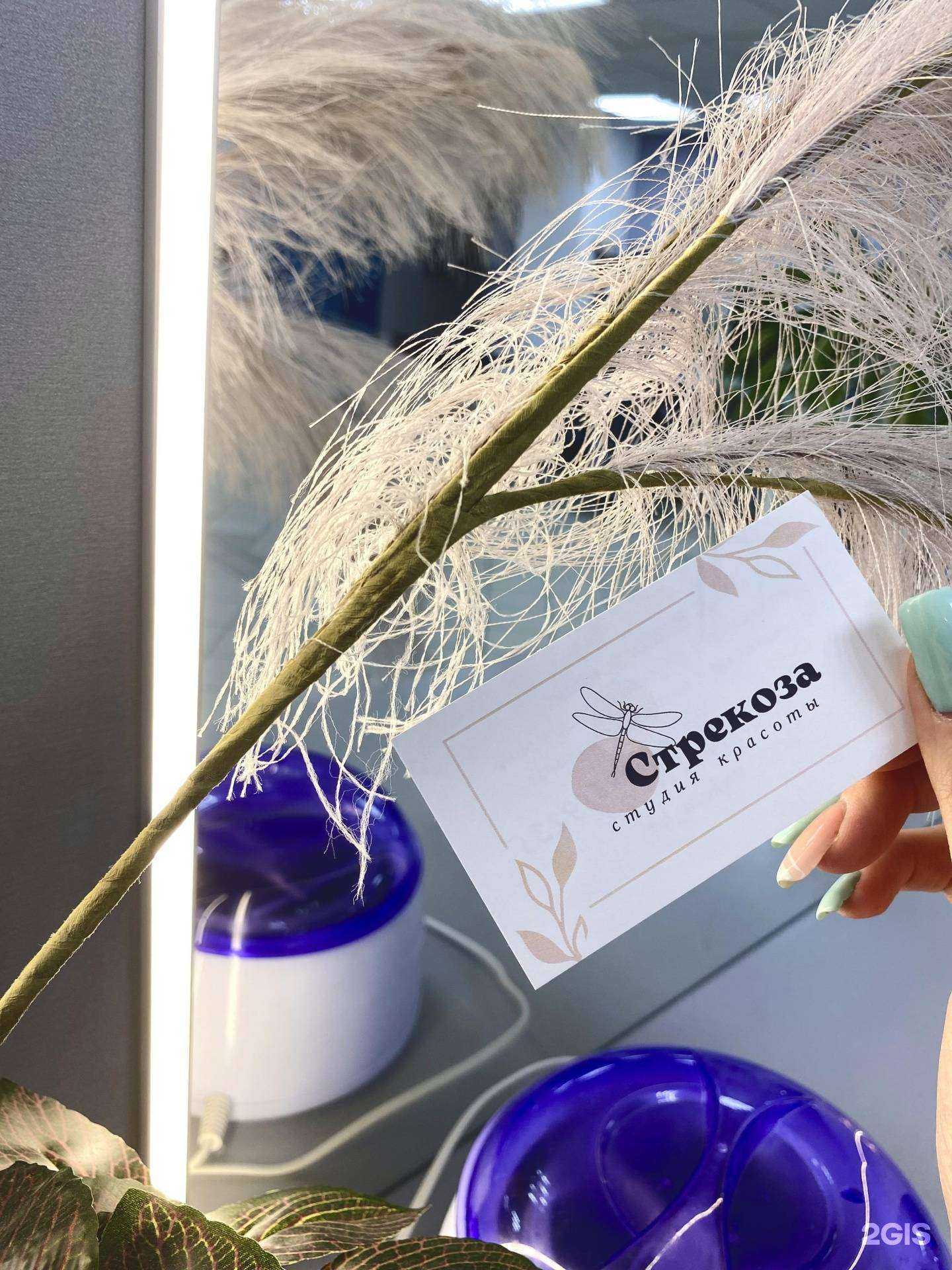 Отзывы на компанию Стрекоза в Ханты-Мансийске c фото