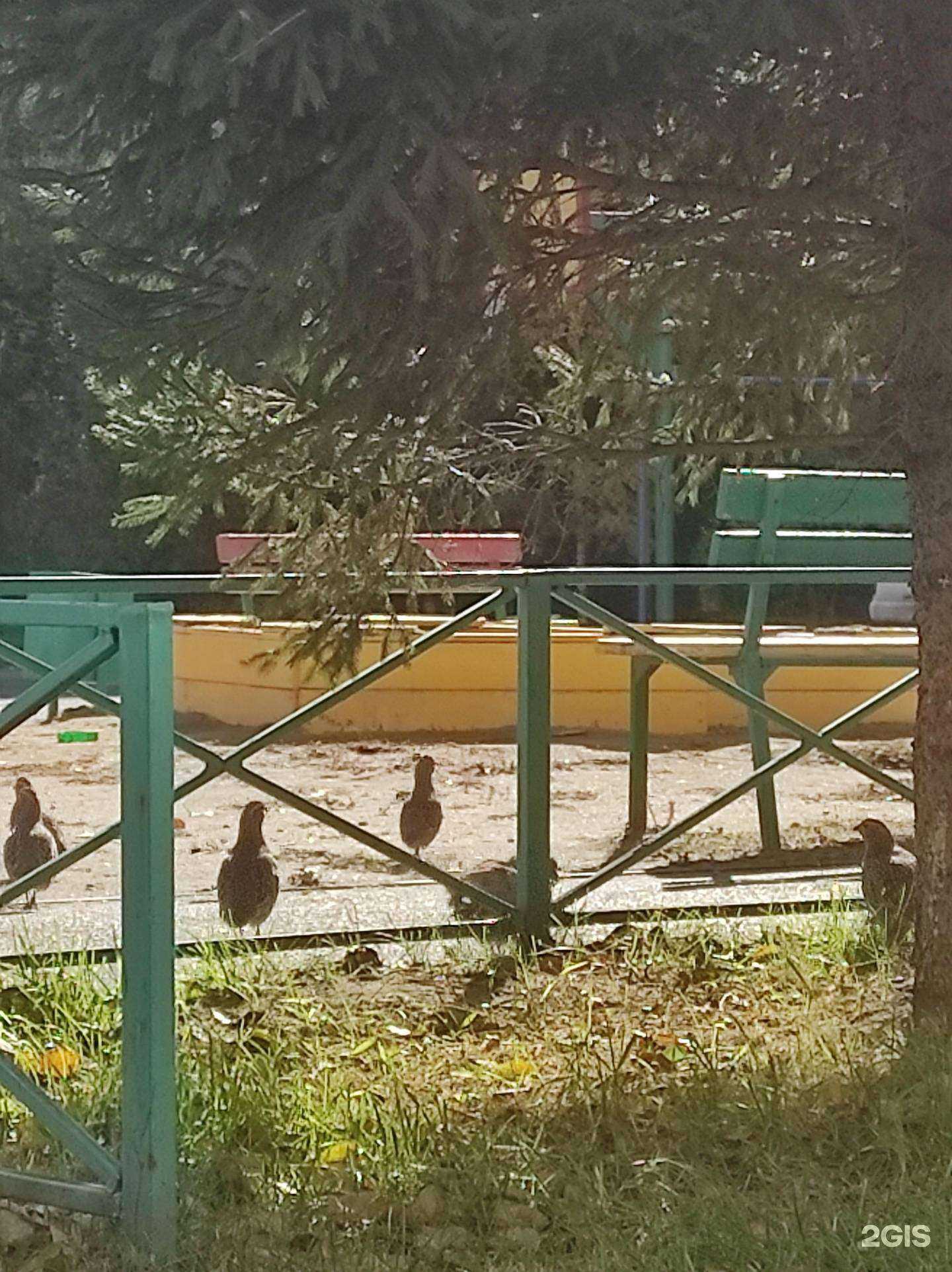 Отзывы на компанию Панацея в Красноярске c фото - фотография 2 из 2