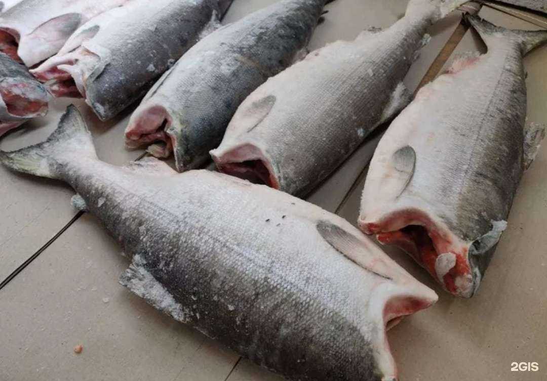 Отзывы на компанию Изобилие вкуса в Чите c фото