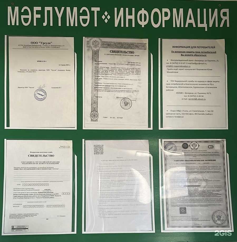 Отзывы на компанию Урсула в Учалах c фото