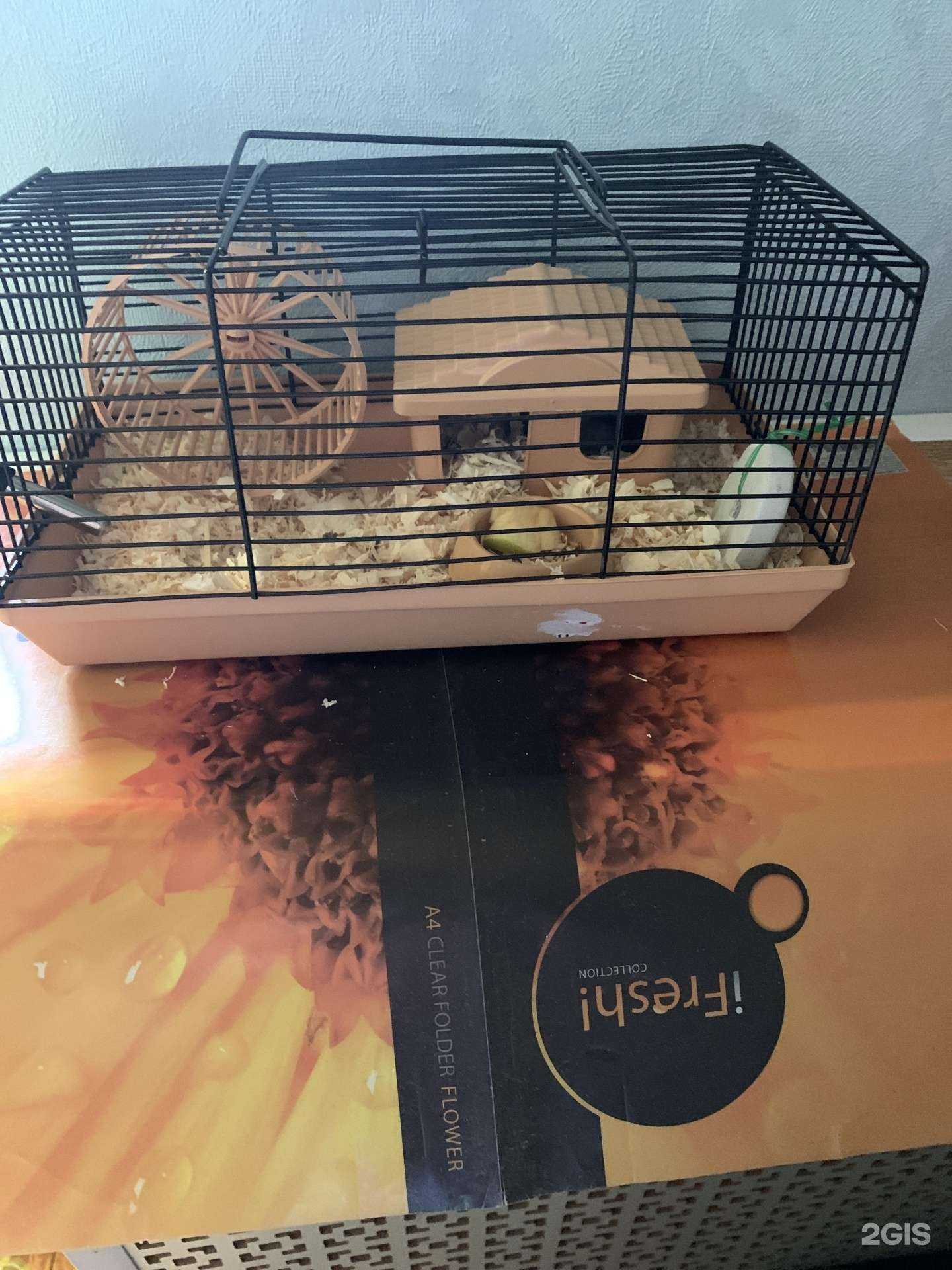 Отзывы на компанию Мир животных в Краснодаре c фото