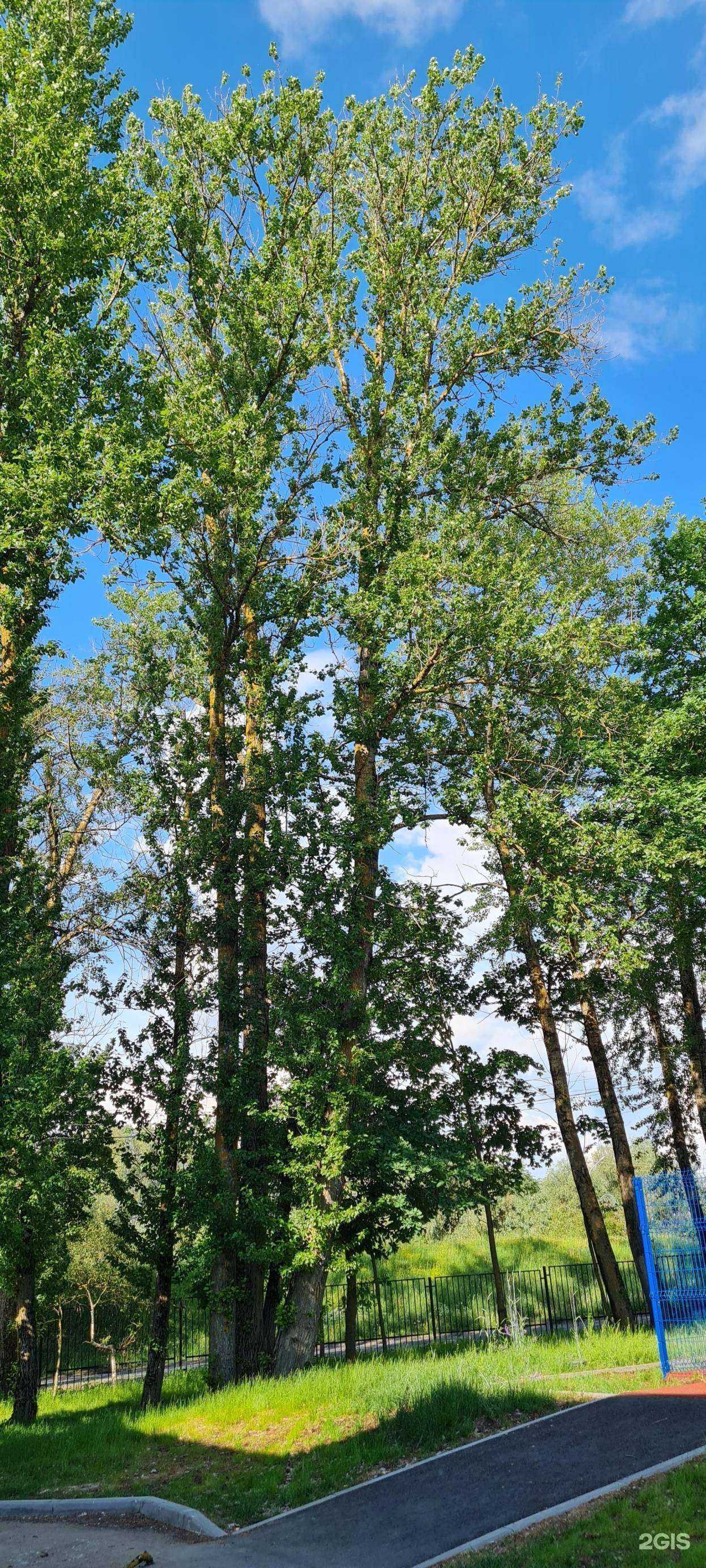 Отзывы на компанию Кванториум в Великом Новгороде c фото - фотография 2 из 2