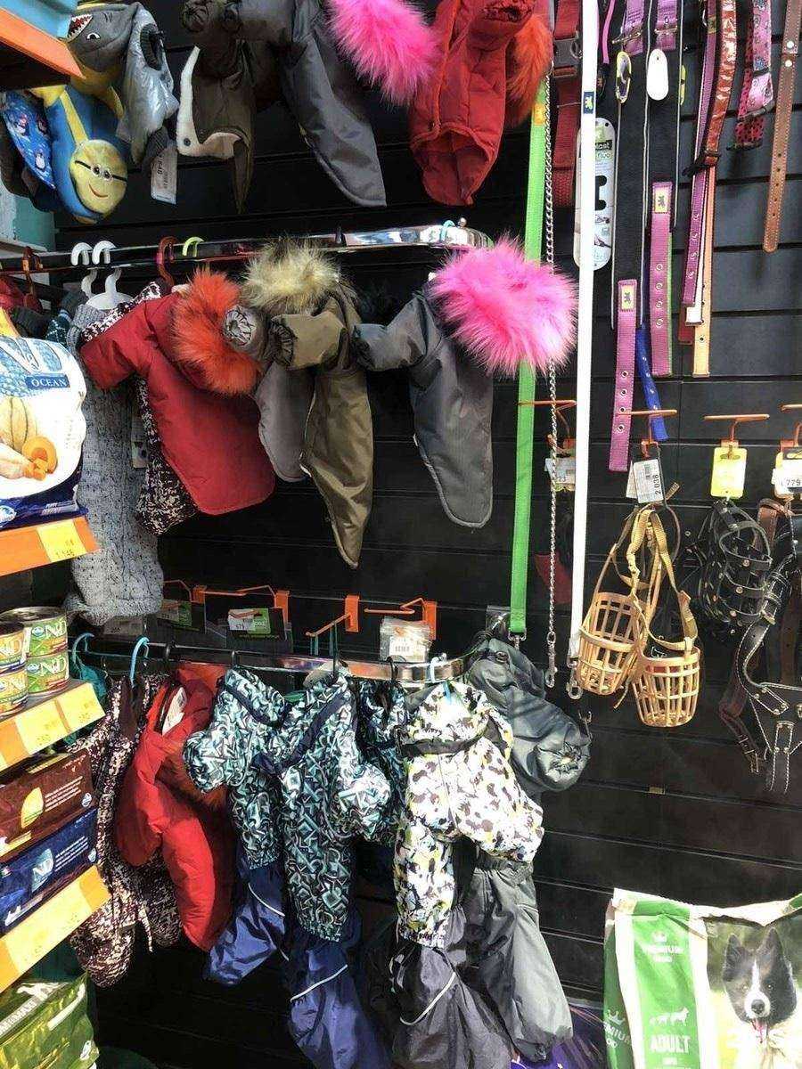 Отзывы на компанию Mr.Zoo Market в Иркутске c фото