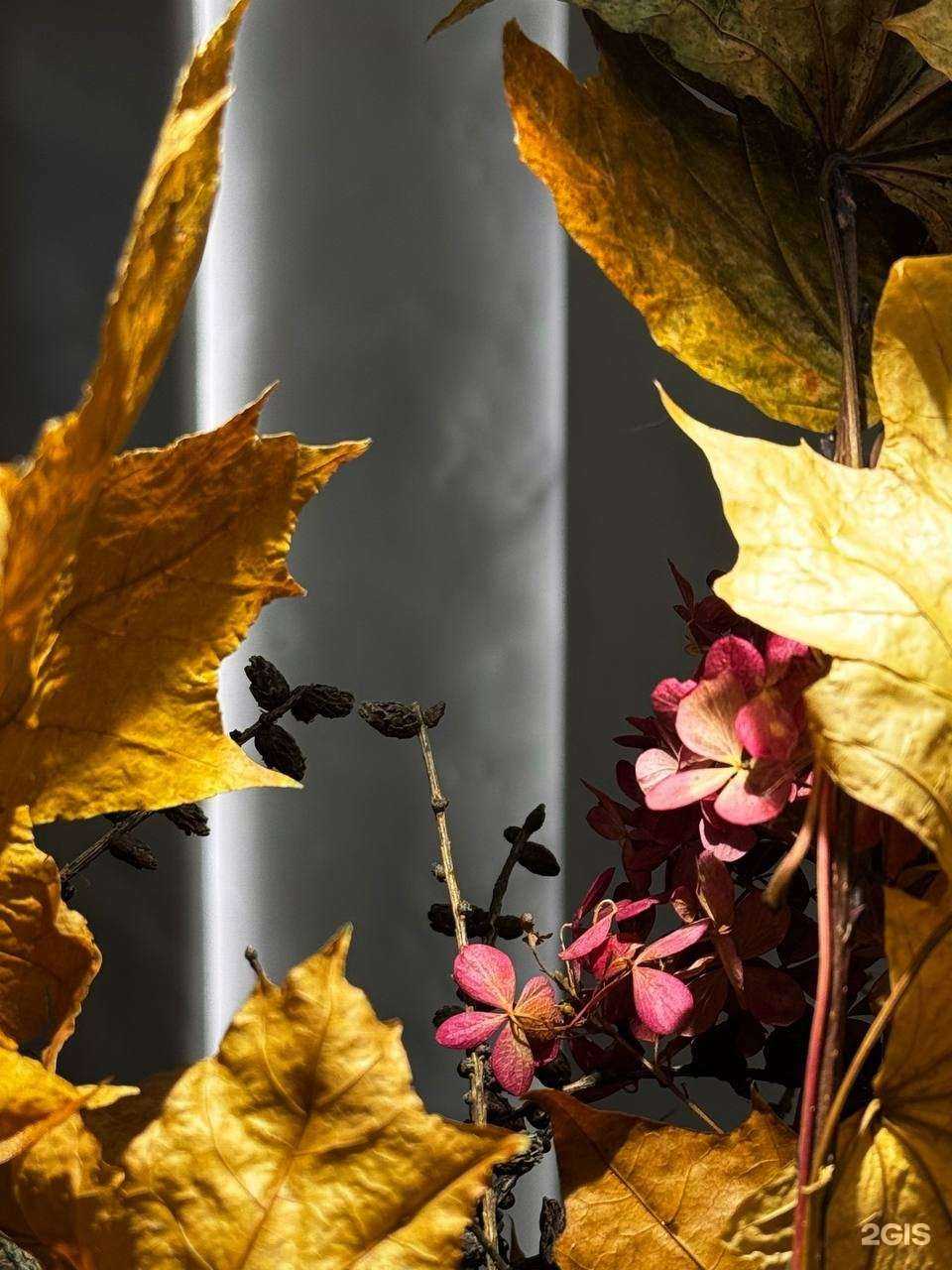 Отзывы на компанию Poly bistro в Томске c фото