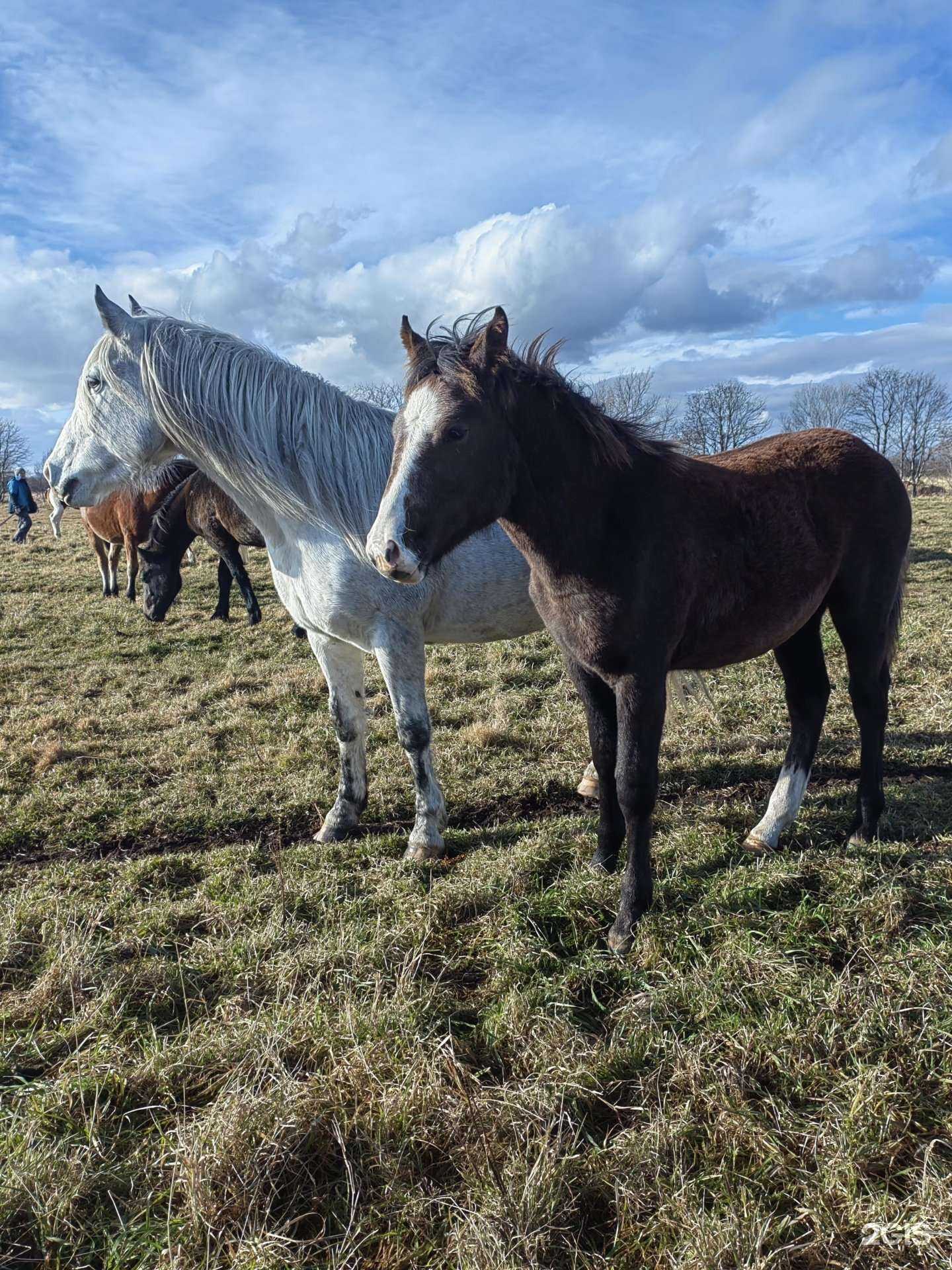 Отзывы на компанию Альтаир в Петропавловске-Камчатском c фото