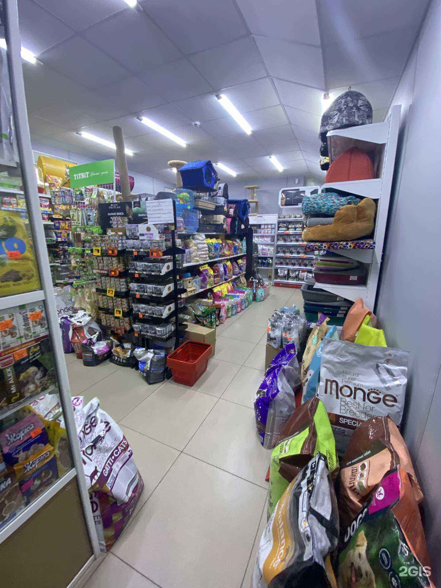 Отзывы на компанию Шенди в Северске c фото