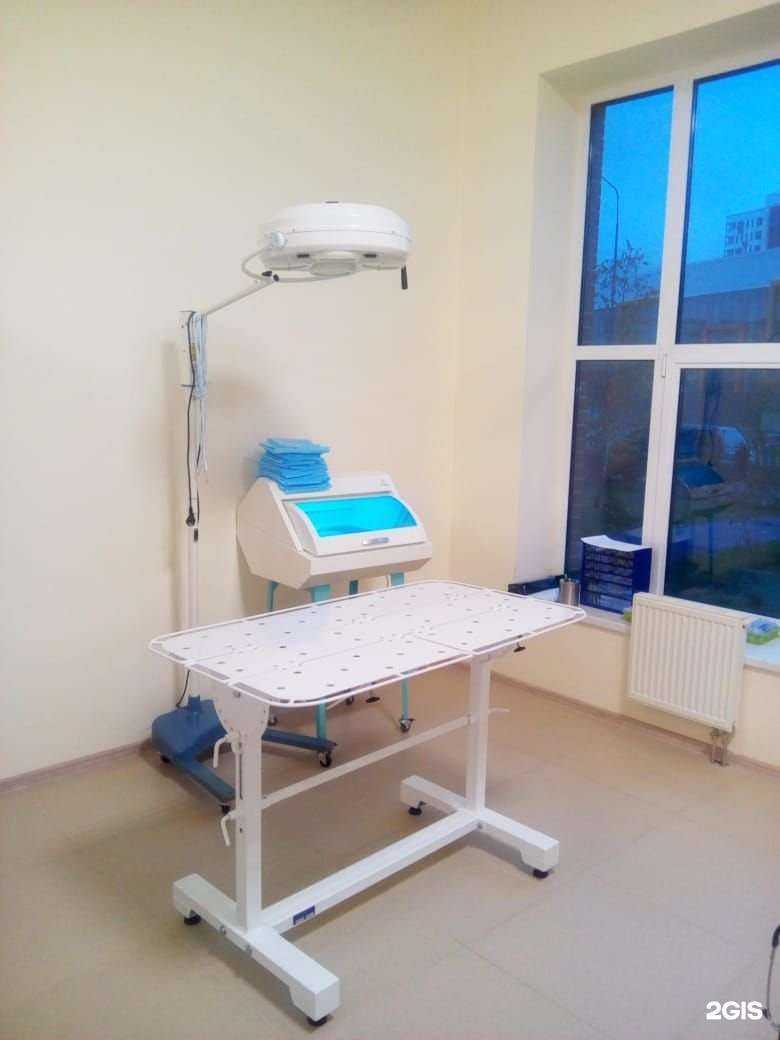 Отзывы на компанию Аист-вет в г. Коммунарка c фото