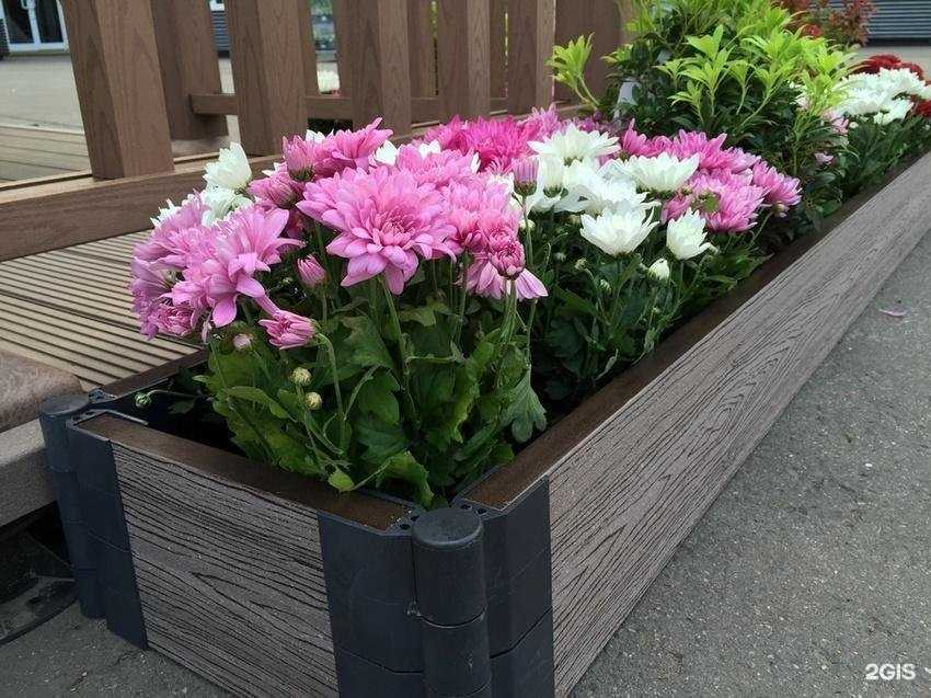 Отзывы на компанию Windeck в Волгограде c фото