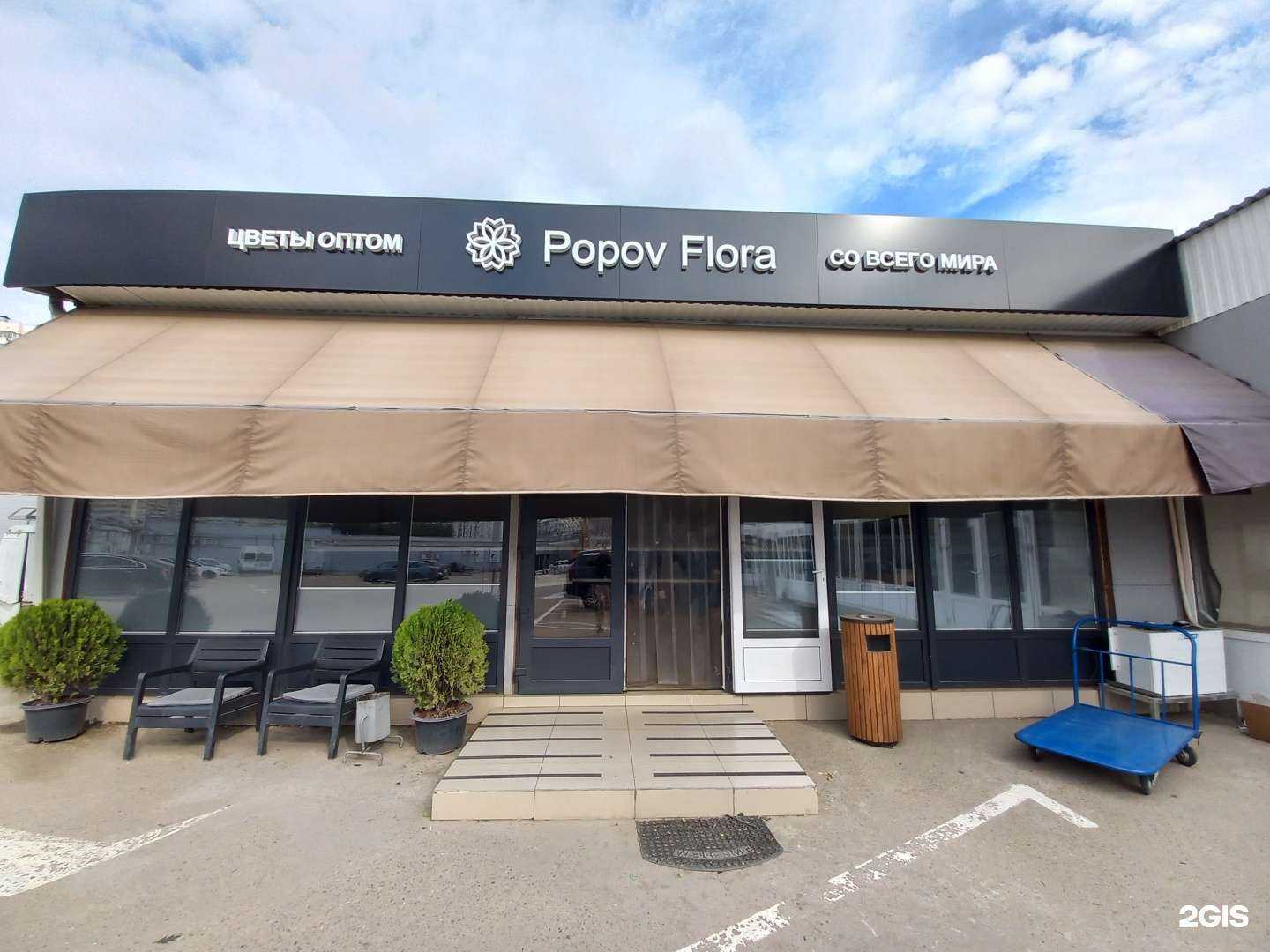 Отзывы на компанию Flora в Краснодаре c фото