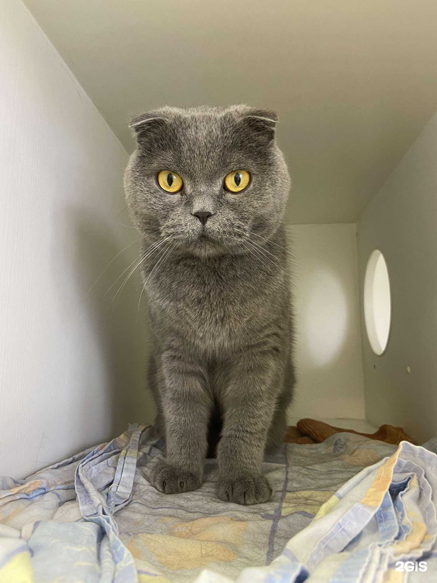 Отзывы на компанию Гарфилд в г. Долгопрудный c фото